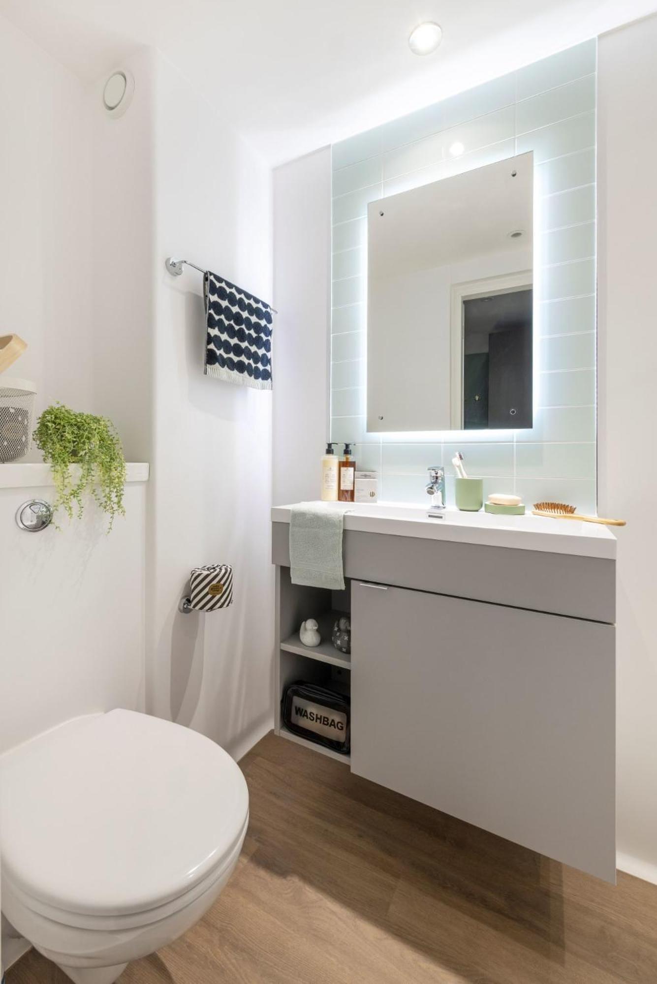 For Students Only Fresh Alma Place Appartement Belfast